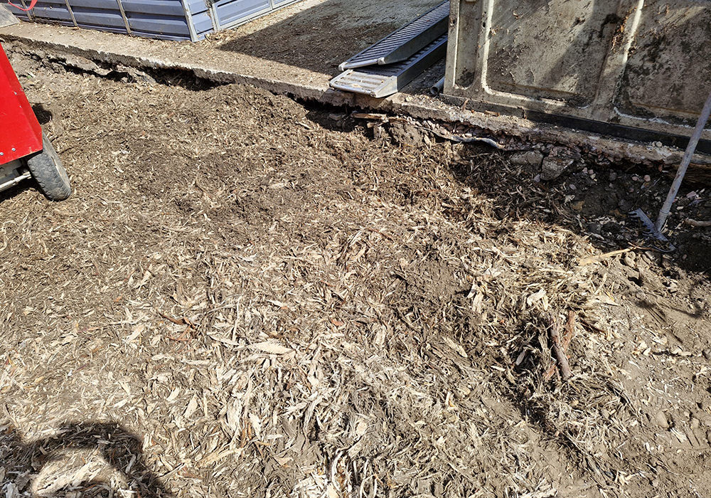 Construction site ground cleared after twin stump removal