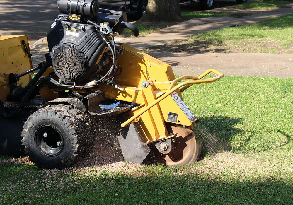 HBB stump grinding machine ready for tree stump removal job