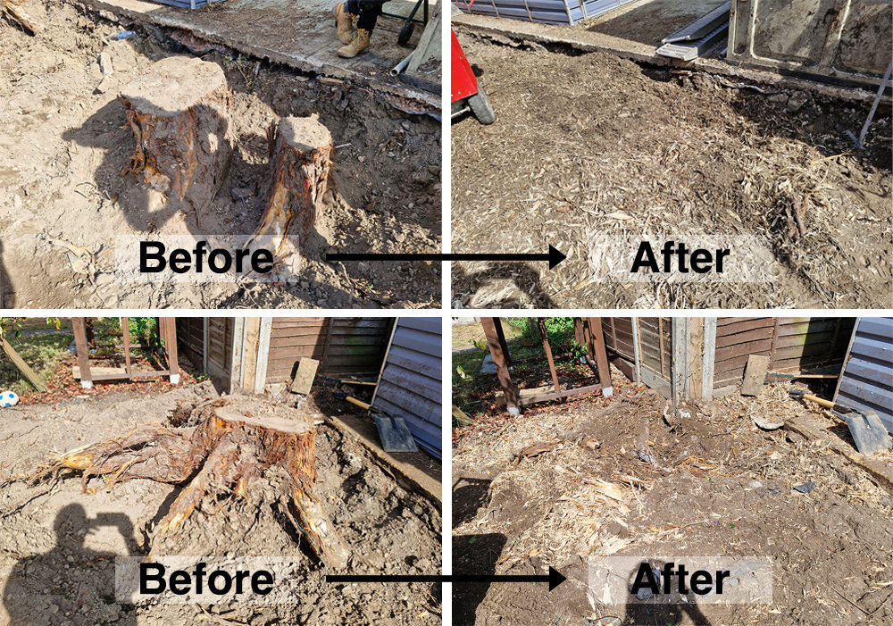 Team working on stump removal